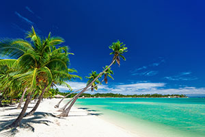 Coral Coast/Yasawa Islands