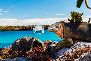 Ecuador/Galapagos 