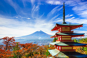 Yokohama (Tokyo)/Osaka