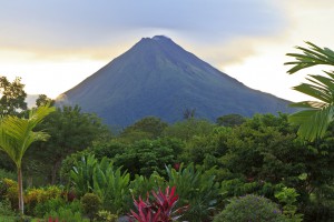 Papagayo