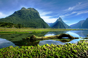 Dunedin (Port Chalmers)/Auckland