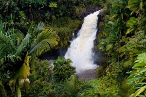 The Island of Hawaii